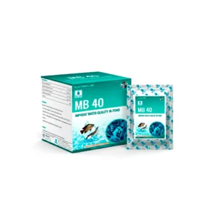 MB 40