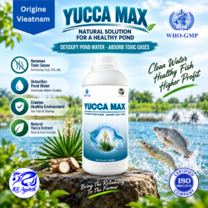 YUCCA MAX