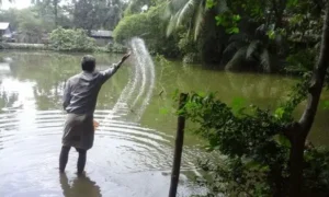 শীতকালে মাছ সুস্থ রাখতে পুকুর পরিদর্শনের সম্পূর্ণ গাইড