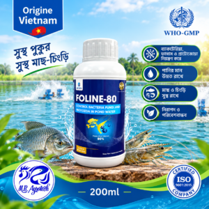 FOLINE-80 (ফোলিন-৮০)